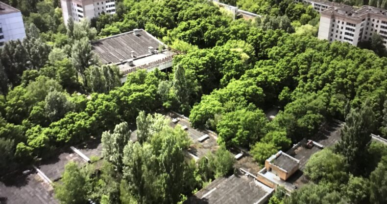 チェルノブイリ、森と建物を上空から見た