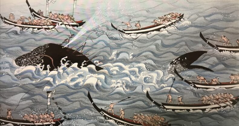 捕鯨、クジラ