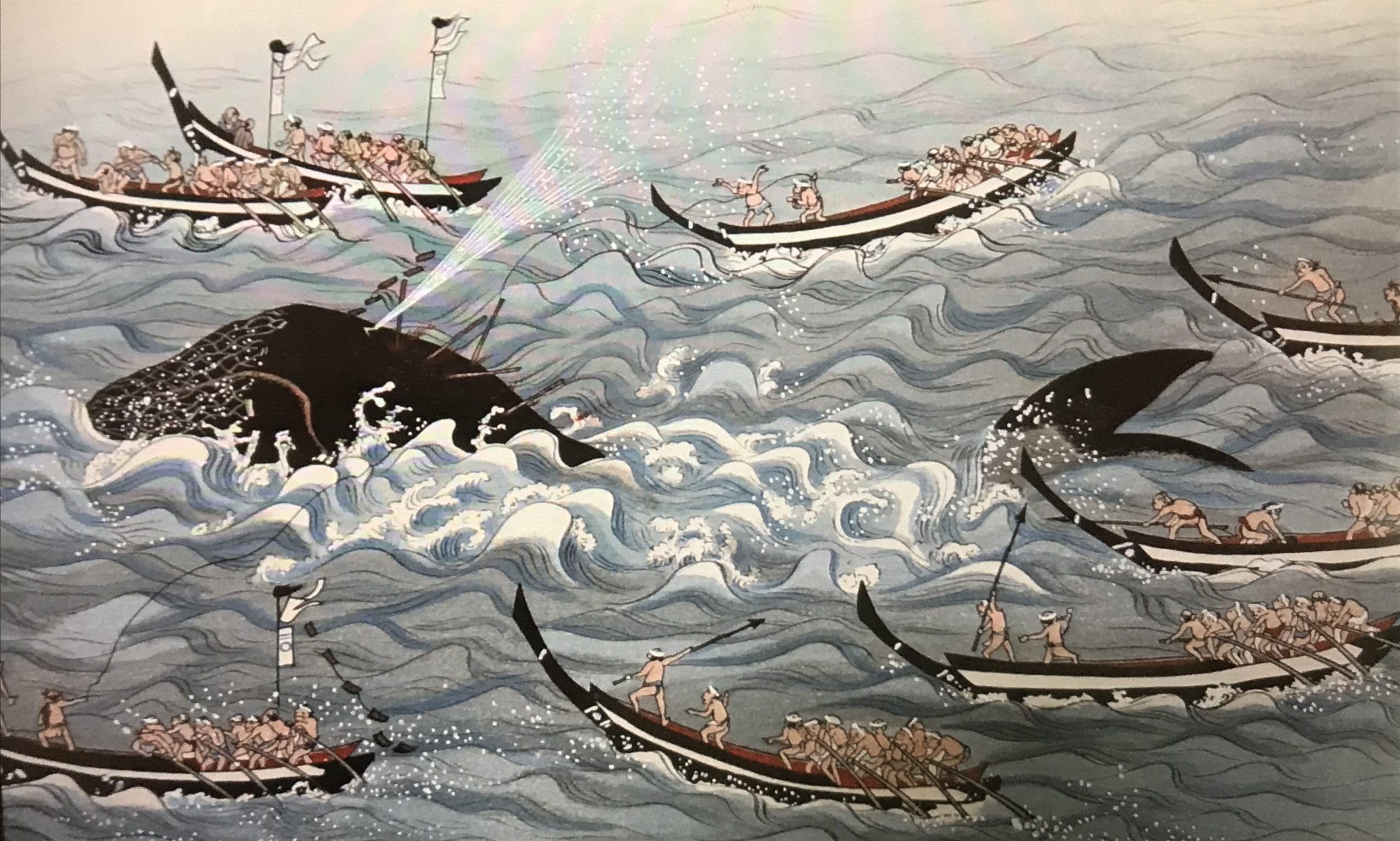 捕鯨、クジラ