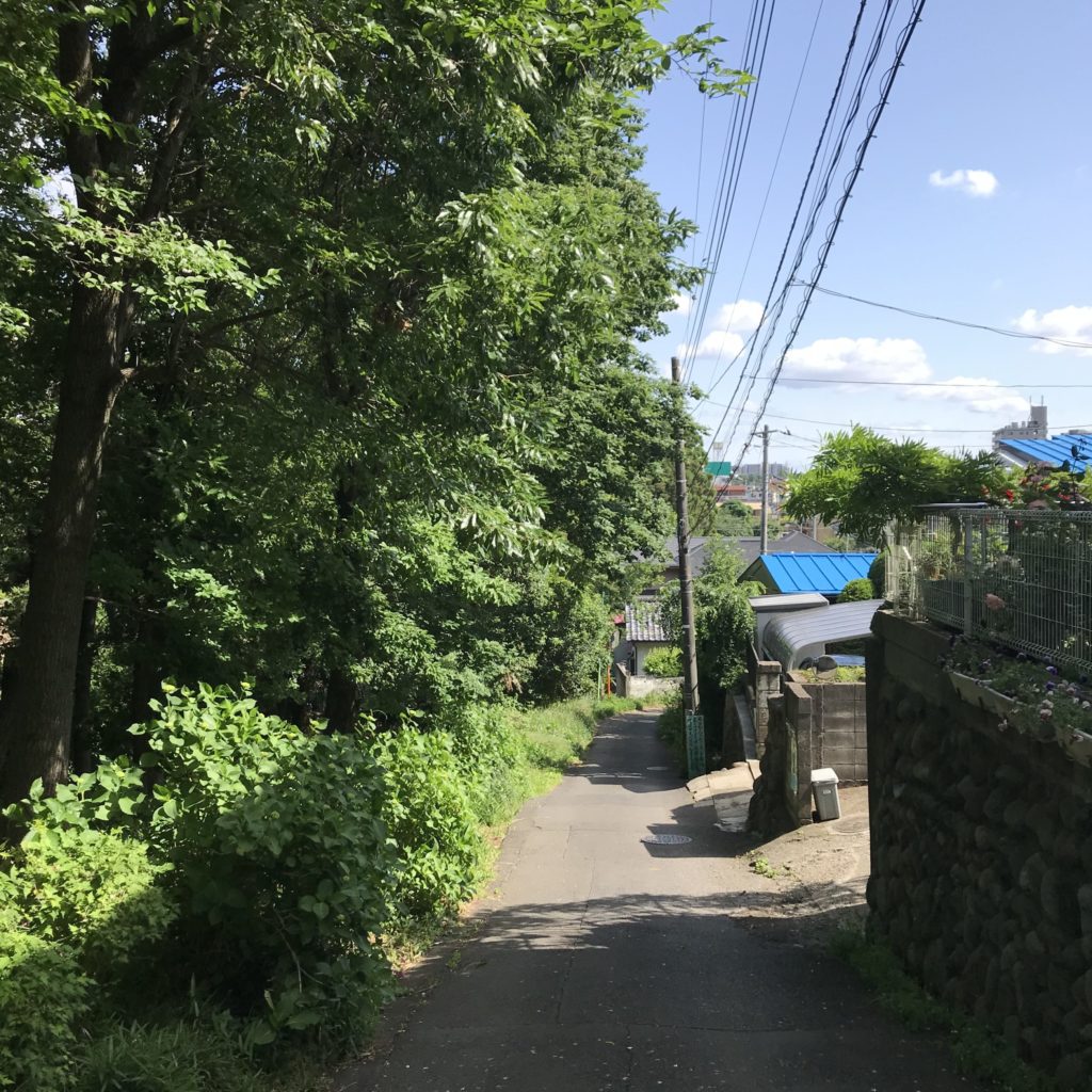 日本、森