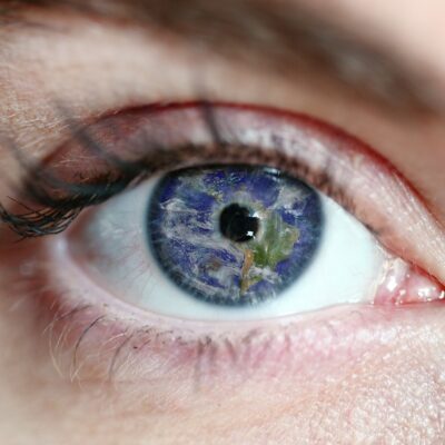 ヴィーガンの人口