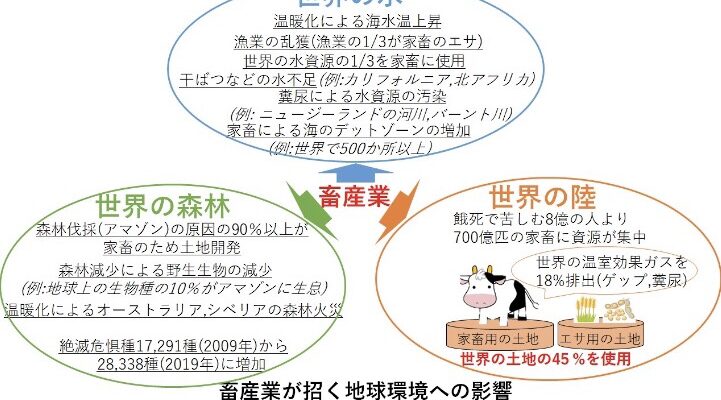 ヴィーガン、環境
