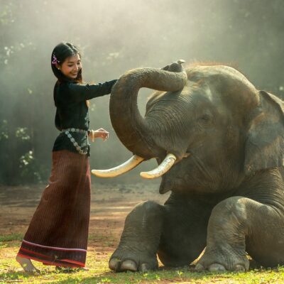動物の権利、友達