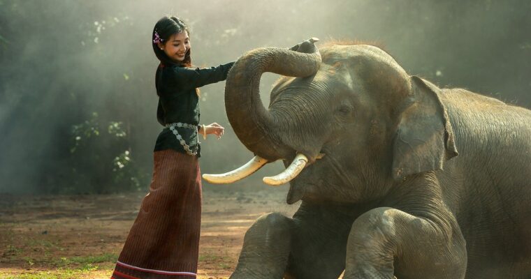 動物の権利、友達