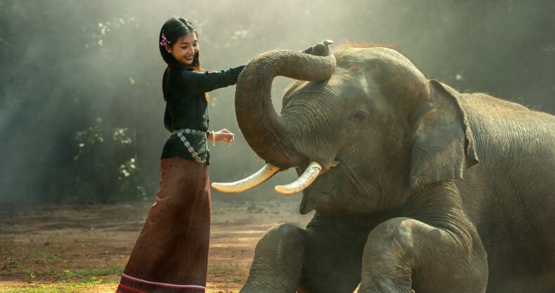 動物の権利、友達
