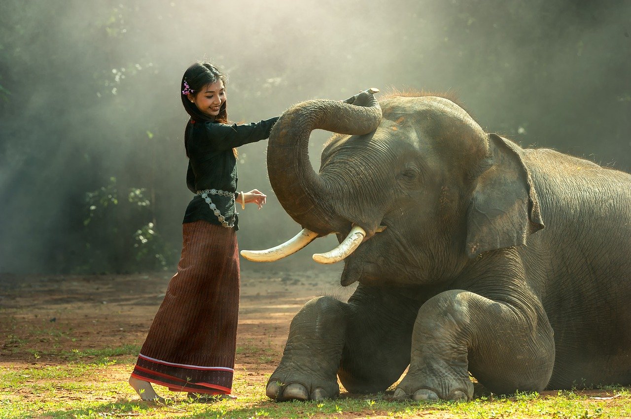 動物の権利、友達